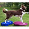 FitPAWS Lemmikin tasapainoalusta 56 cm fuksia