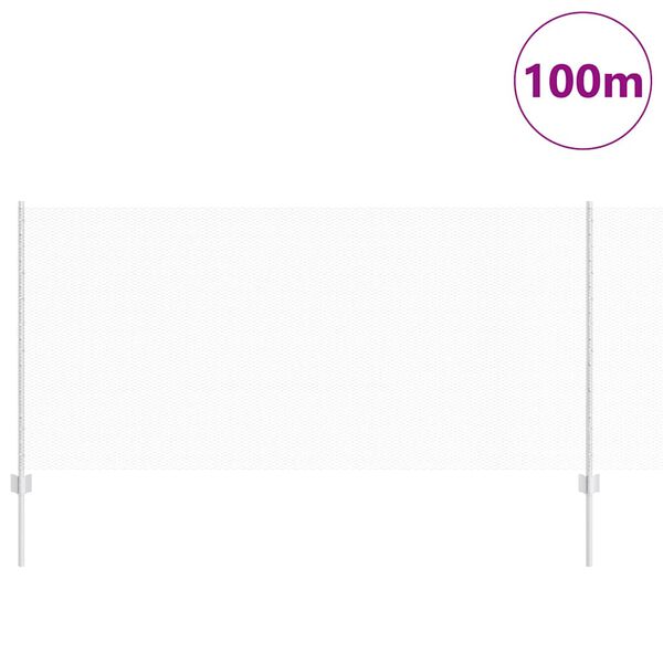 vidaXL Aita ja Tuki Hopea 1 x 100 m Ter&auml;s