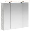 vidaXL Kylpyhuoneen Peilikaappi Betoni Harmaa 80 x 14.5 x 70 cm