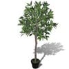 vidaXL Tekokasvi Laakeripuu Ruukussa 120 cm