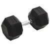 vidaXL K&auml;sipaino 30 kg valurauta