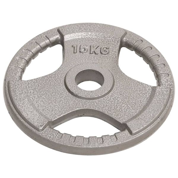 vidaXL Olympia levypainot 2 kpl 30 kg valurauta