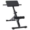 vidaXL Hyperextension penkki Musta 100,5 x 70 x 78 cm