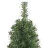 Tuotteen pikkukuva 11 / 14