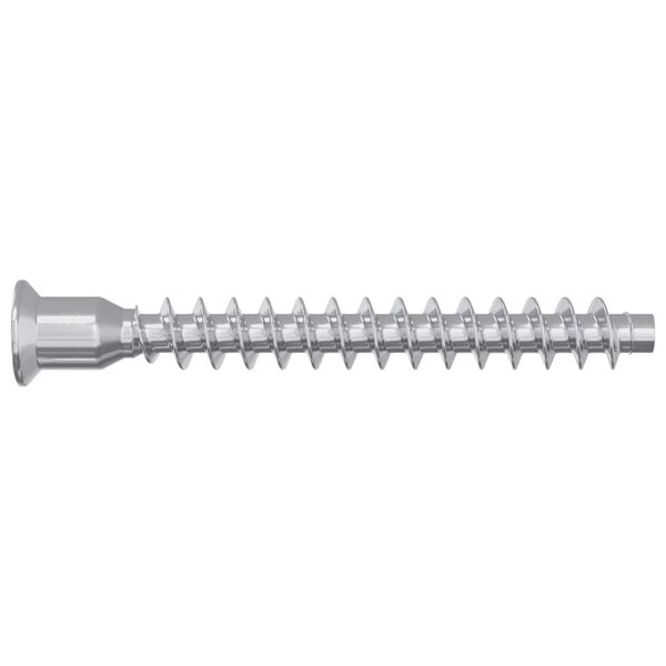 vidaXL Confirmat-ruuvit 12 pcs Hopea Metalli