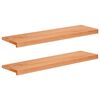 vidaXL Portaiden p&auml;&auml;llysteet 2 kpl 100 x 25 x 2 cm Lakka