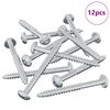 vidaXL Puuruuvi 12 kpl Hopea 9,8 x 53 mm Ter&auml;s
