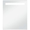 vidaXL Kylpyhuoneen LED-sein&auml;peili 50x60 cm