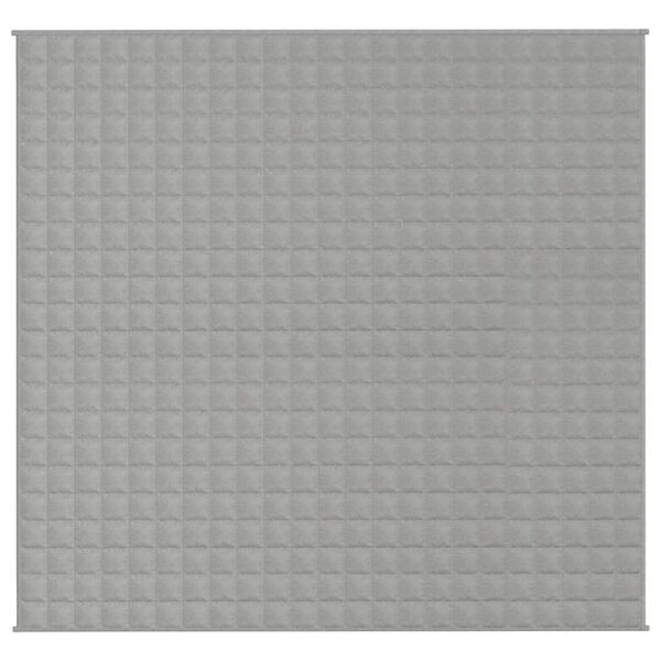 vidaXL Painopeitto harmaa 220x235 cm 11 kg kangas