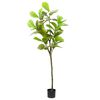 vidaXL Keinotekoinen Ficus Tree 48 Lehdet 165 cm Vihre&auml;