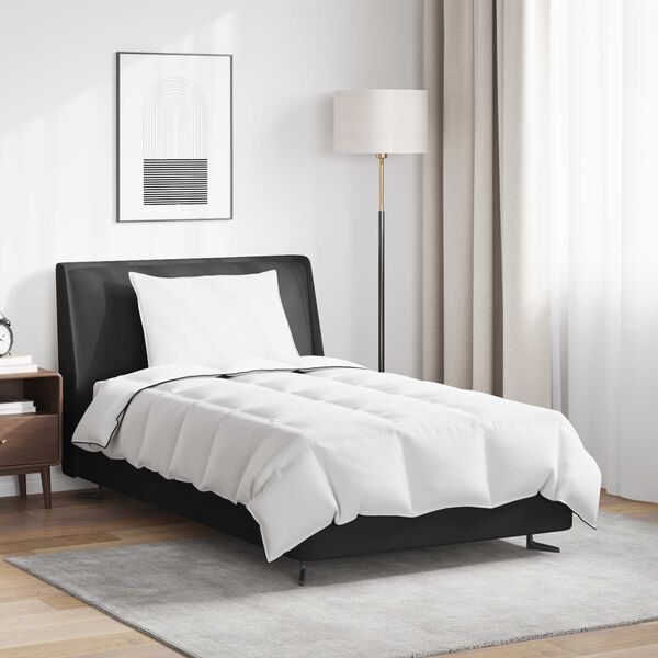 vidaXL Talvityyny tyynyllä 2 pcs Valkoinen Untuvahöyhen