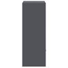 vidaXL Pakettipostilaatikko ovella Antrasiitti 41 x 38 x 103 cm Ter&auml;s