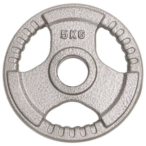 vidaXL Olympia levypainot 2 kpl 10 kg valurauta