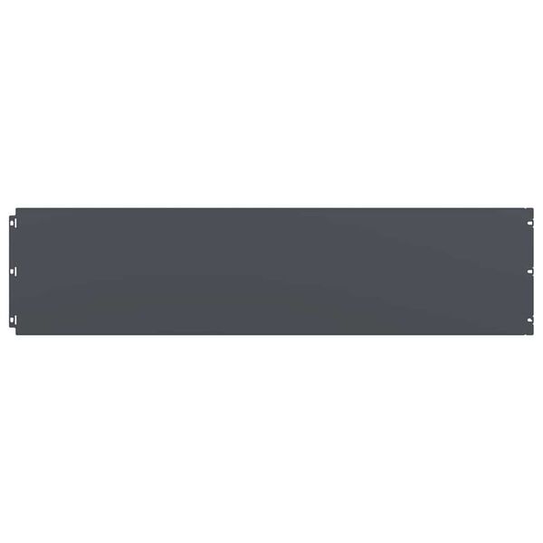 vidaXL Nurmikon reunalistat 10 kpl Antrasiitti Kylm&auml;valssattu ter&auml;s