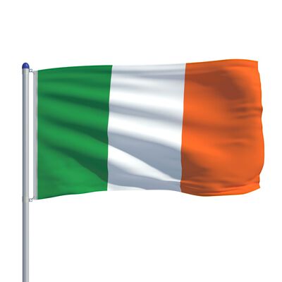vidaXL Irlannin lippu ja tanko alumiini 6 m
