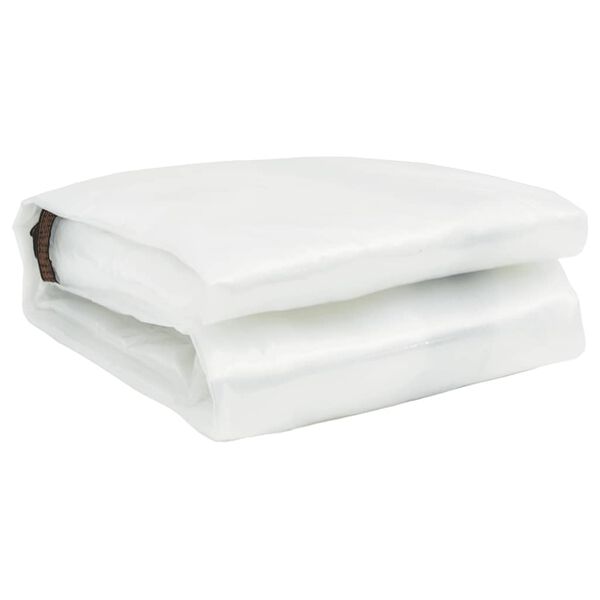 vidaXL kirkas suojapeite silmukoilla 6x10 m polyeteeni