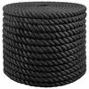 vidaXL Juuttinaru 160 mm 50 m Musta 100% Tossa juutti