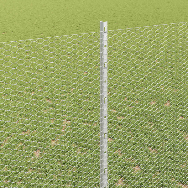 vidaXL Aita ja Tuki Hopea 1,6 x 10 m Ter&auml;s