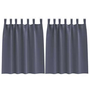 vidaXL Piment&auml;v&auml; verho renkailla 2 pcs Antrasiitti 140 x 140 cm