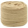 vidaXL Monik&auml;ytt&ouml;inen k&ouml;ysi 6 mm 100 m Luonnollinen PP