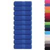 vidaXL Pesupyyhkeet FROGN 10 kpl Sininen 30x30 cm 360 gsm