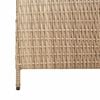 vidaXL Huonejakaja Beige 195 x 180 cm polyrottinki