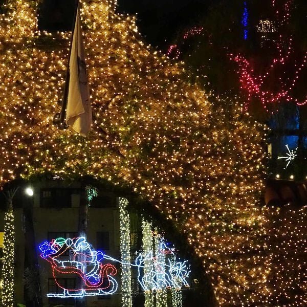 vidaXL Led-verkko Tummanvihre&auml;