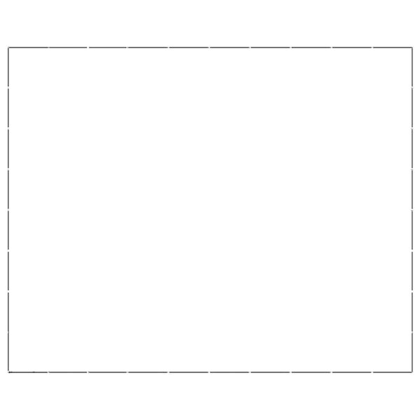 vidaXL Koiran ulkoh&auml;kki ter&auml;s 73,73 m&sup2;