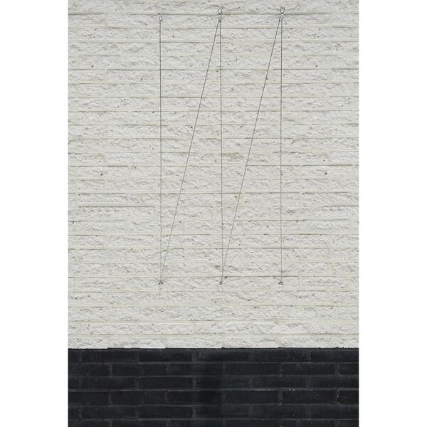 Nature Vaijeri kukkas&auml;leikk&ouml; k&ouml;ynn&ouml;skasveille 2 kpl