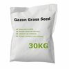 vidaXL Nurmikon siemenet 30 kg