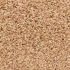 vidaXL Porrasmatot 15 kpl 56x17x3 cm Beige puolipy&ouml;re&auml;