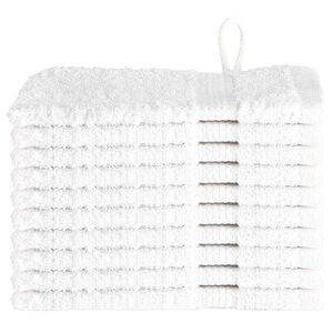vidaXL Vieraiden pyyhe SOLUND 10 kpl Valkoinen 15 x 21 cm 550 gsm