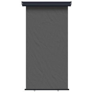 vidaXL Parvekkeen sivu aurinkovarjo 117 x 250 cm