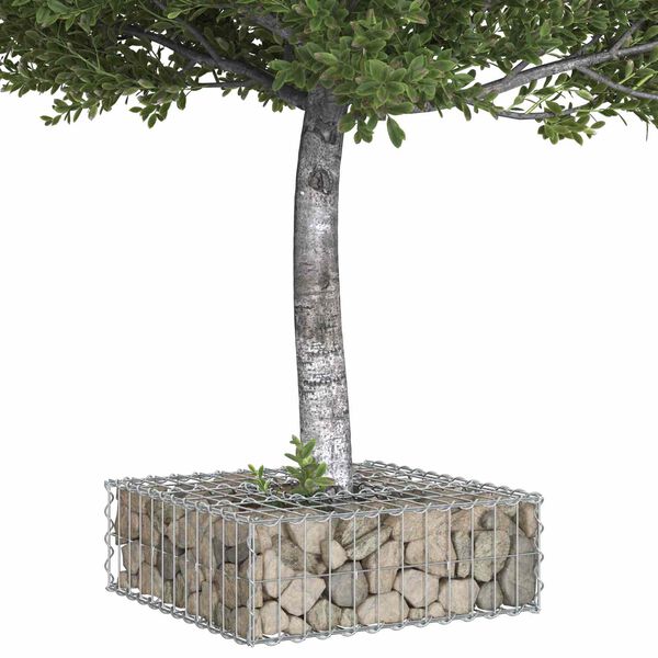 vidaXL Gabion Kohotettu Peti Hopea 60 x 60 x 20 cm Galvanoitu ter&auml;s