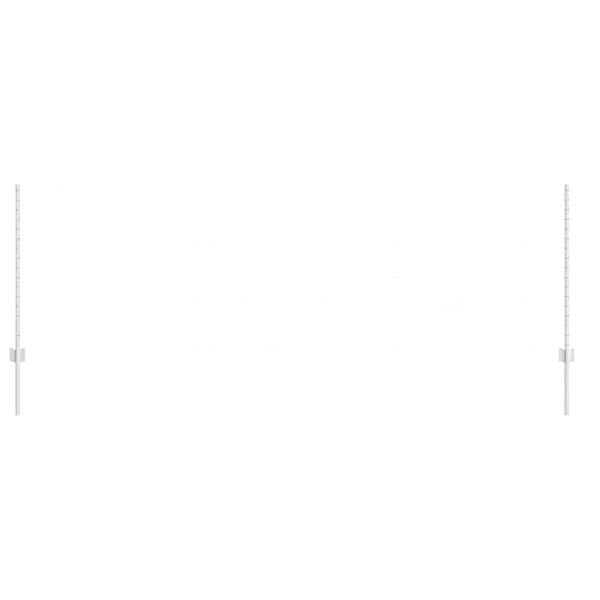 vidaXL Aitalatu 11 pcs Hopea 100 cm Ter&auml;s