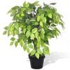 vidaXL Tekokasvi Bonsaifiikus Ruukussa 60 cm