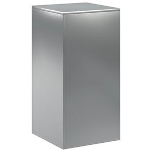 vidaXL Kasviteline Hopea 40 x 40 x 80 cm Ter&auml;s