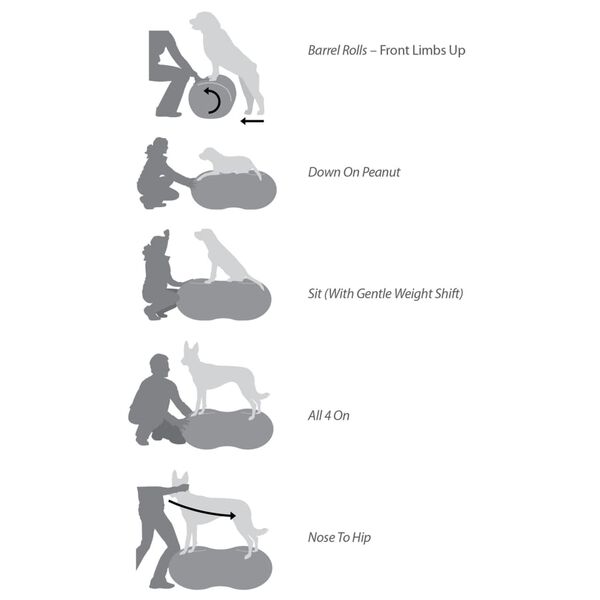 FitPAWS Lemmikin tasapainoalusta Trax Peanut 60 cm sininen