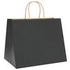 vidaXL Paperikassit 250 kpl kahvoilla musta 32x22x24 cm
