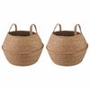 vidaXL Kasviruukku kahvoilla 2 pcs Luonnollinen &Oslash; 32 x 32 cm
