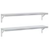 vidaXL Sein&auml;hyllyt 2 kpl 100x23,5 cm hopea ruostumaton ter&auml;s