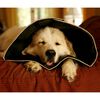 All Four Paws E-kaulus Comfy Cone XL pituus 30 cm musta