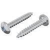 vidaXL Puuruuvit 2 kpl Hopea M4 x 25 mm Ter&auml;s