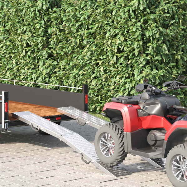 vidaXL Lastausramppi 2 pcs Hopea 186 x 23 x 4,5 cm Galvanoitu ter&auml;s