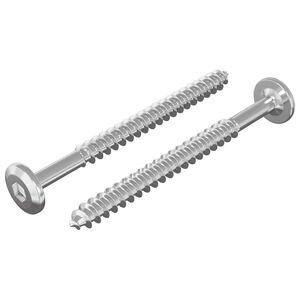 vidaXL Puuruuvit 2 kpl Hopea M6 x 70 mm Ter&auml;s
