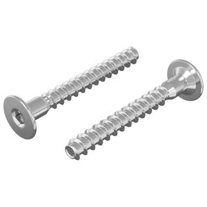 vidaXL Confirmat-ruuvit 2 kpl Hopea &Oslash;5 x 40 mm Metalli