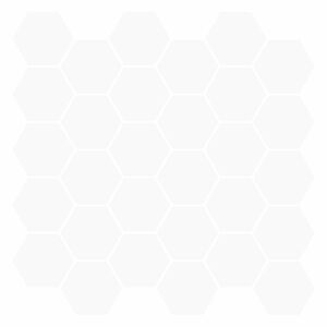 vidaXL Heptagonaalinen laatta 10 kpl valkoinen 30 x 30 cm