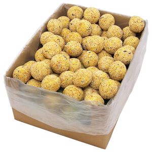 vidaXL Linnun talipallot 200 kpl 90 g