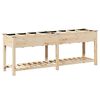 vidaXL Puutarha ruukku Beige 203,5 x 53 x 76,5 cm S&auml;teisen kuusipuu