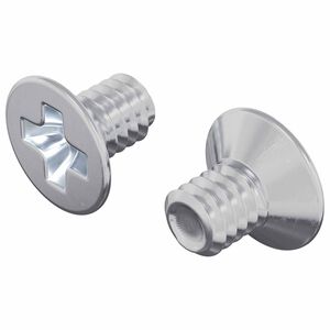 vidaXL Upotetut p&auml;&auml;ruuvit 2 kpl Hopea M4 x 6 mm Ter&auml;s